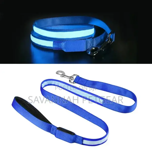 Illuminating Night Glowing USB Rechargeable Led Dog Leash