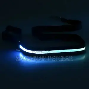 Illuminating Night Glowing USB Rechargeable Led Dog Leash