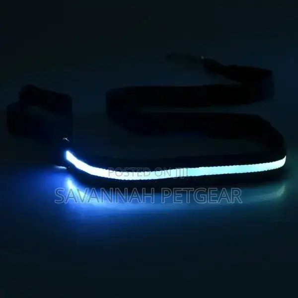 Illuminating Night Glowing USB Rechargeable Led Dog Leash