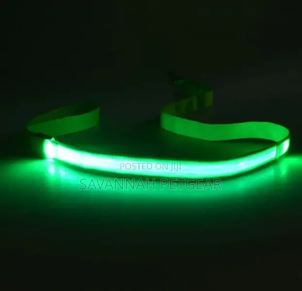 Illuminating Night Glowing USB Rechargeable Led Dog Leash