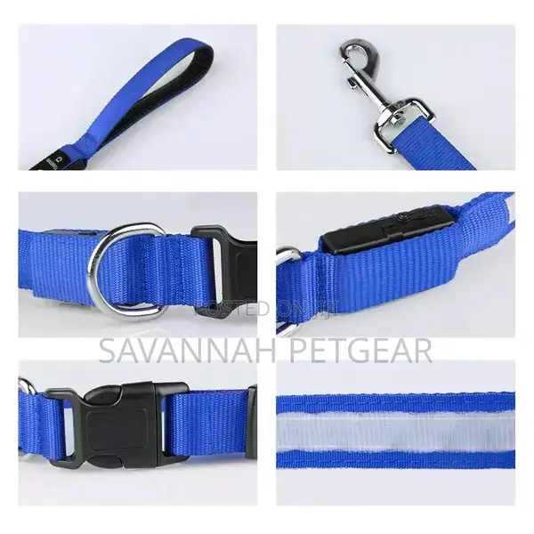 Illuminating Night Glowing USB Rechargeable Led Dog Leash