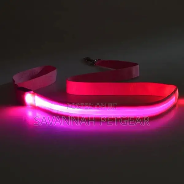 Illuminating Night Glowing USB Rechargeable Led Dog Leash