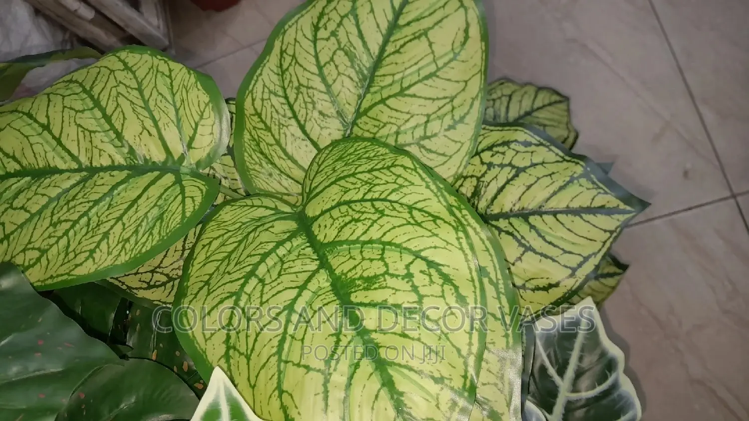Plants Artificial Looks Real