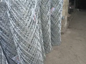 Stainless Razor-Sharp Fence