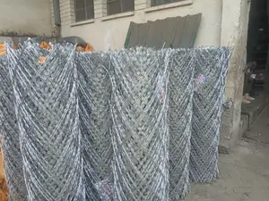 Stainless Razor-Sharp Fence