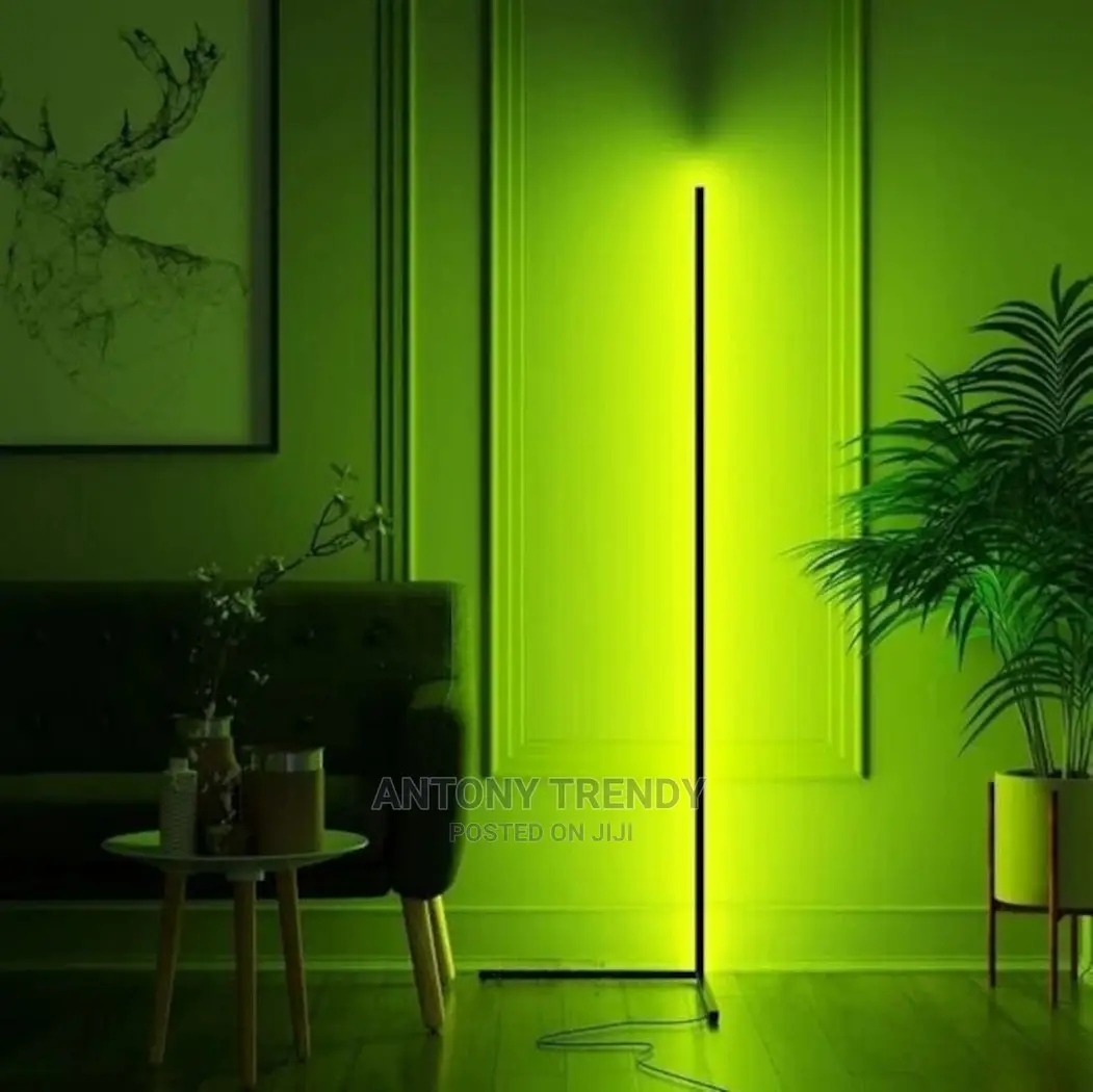 Floor Lamp, Removable LED Corner Lamp