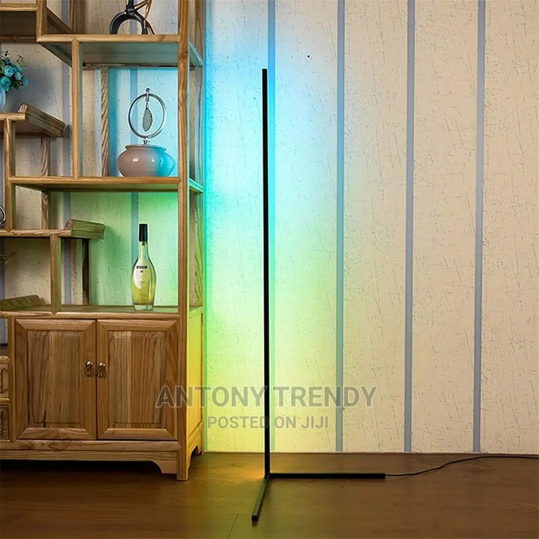 Modern Bright LED Corner Floor Lamp