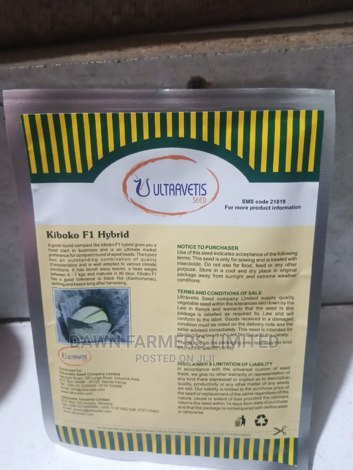 Cabbage Kiboko F1 25gm