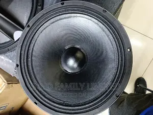 15 AZ 16 BM Naked Midrange Speaker
