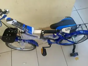 Size 16 Blue Bike Lion King