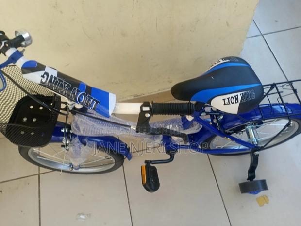 Size 16 Blue Bike Lion King