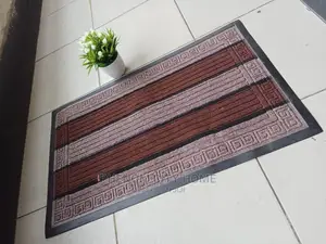 Absorbent Indoor/Outdoor Doormats