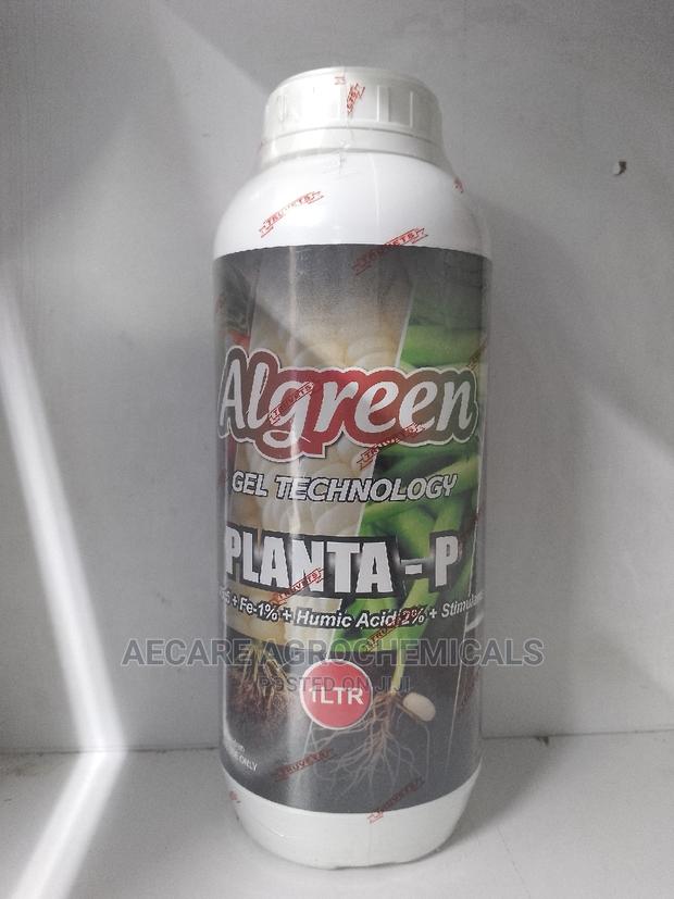Planta - P Algreen Foliar Fertilizer 1litre