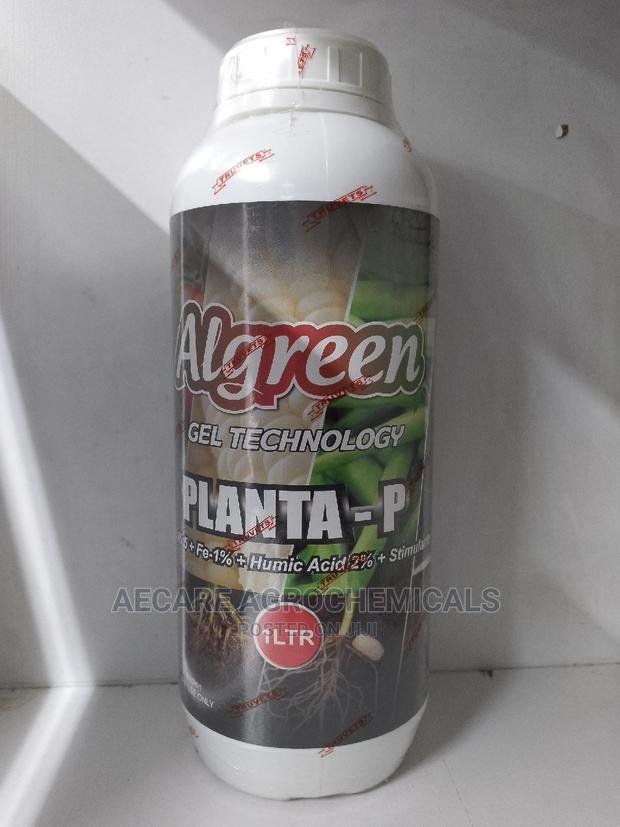 Planta - P Algreen Foliar Fertilizer 1litre - thumbnail 2