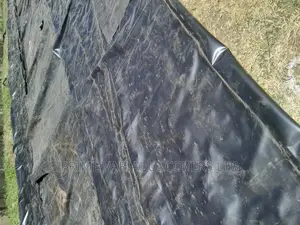 Dam Liner Repair
