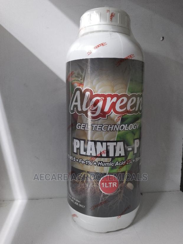 Planta - P Algreen Foliar Fertilizer 1litre - thumbnail 3