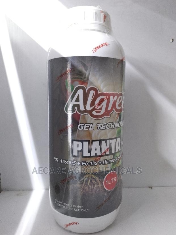 Planta - P Algreen Foliar Fertilizer 1litre - thumbnail 5