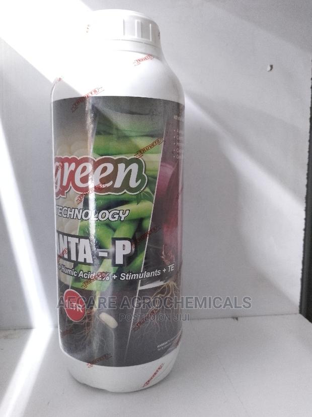 Planta - P Algreen Foliar Fertilizer 1litre - thumbnail 7