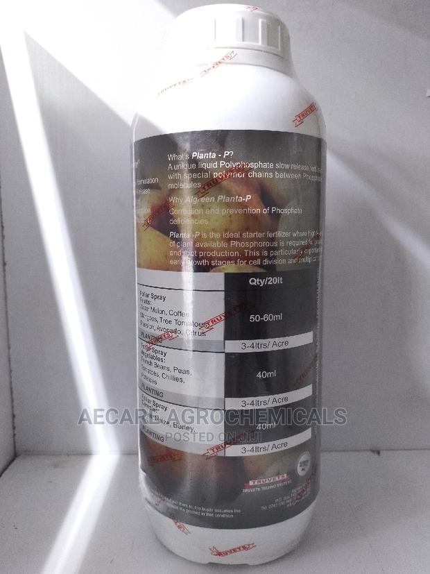 Planta - P Algreen Foliar Fertilizer 1litre - thumbnail 11