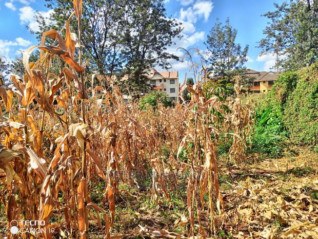 Prime Thindigua Plot 0.75ac - thumbnail 4