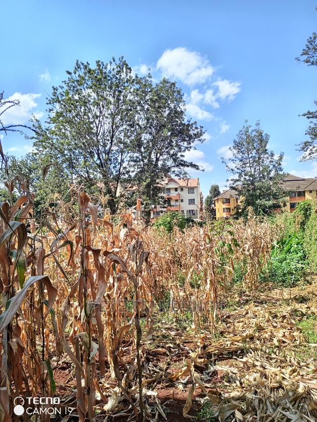 Prime Thindigua Plot 0.75ac - thumbnail 5