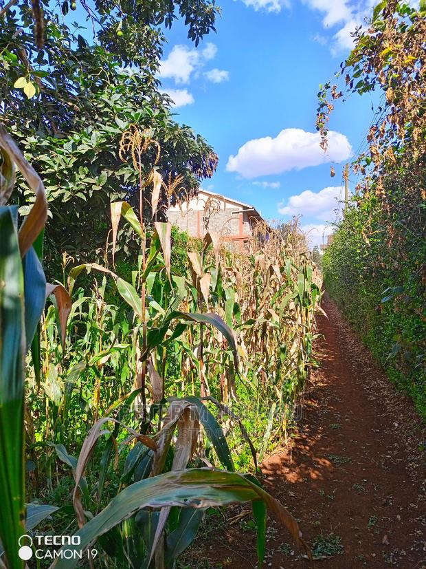 Prime Thindigua Plot 0.75ac - thumbnail 3