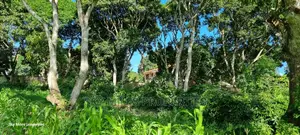Animo Mtwapa,1 Acre on Sale