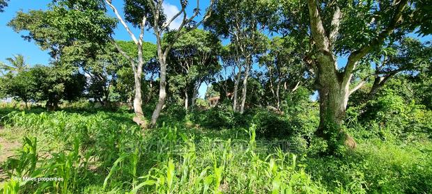 Animo Mtwapa,1 Acre on Sale - thumbnail 10
