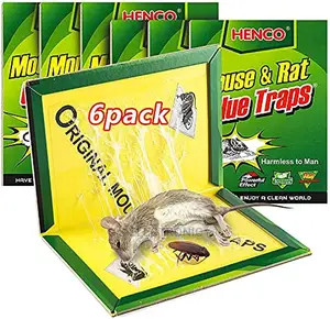Glue Book Mouse Traps Best