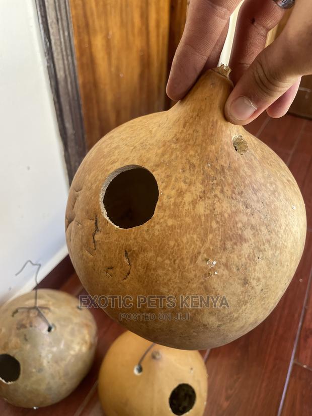 Bird Nests - thumbnail 3