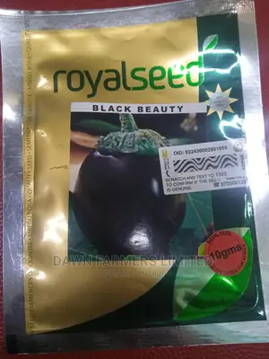 Eggplant 10gms