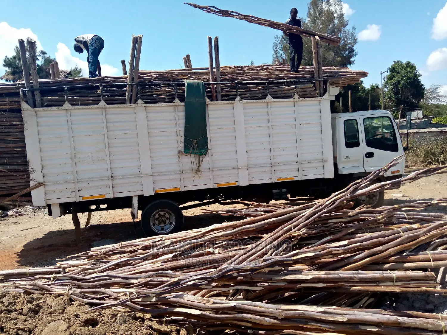 Makonge for Sale and Suppliers Best for Makuti Roofing