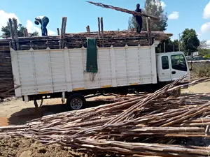 Makonge for Sale and Suppliers Best for Makuti Roofing