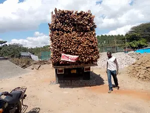 Makonge for Sale and Suppliers Best for Makuti Roofing