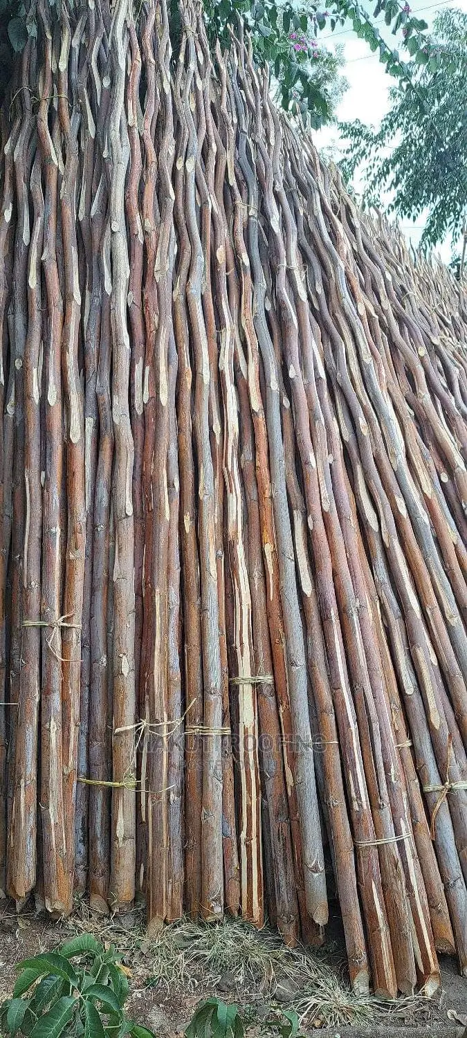 Makonge for Sale and Suppliers Best for Makuti Roofing