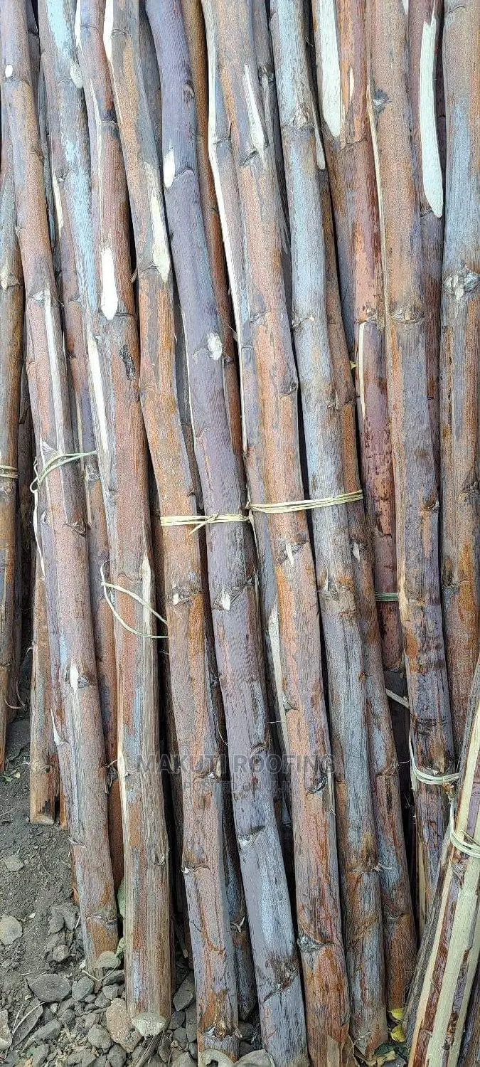 Makonge for Sale and Suppliers Best for Makuti Roofing