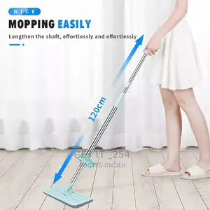 Self Wringing Mop