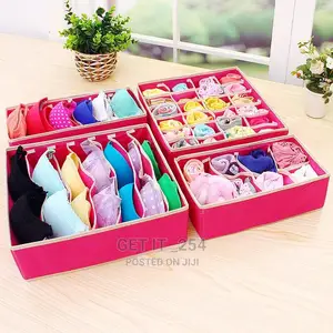 4in1 Under Garments Organizer