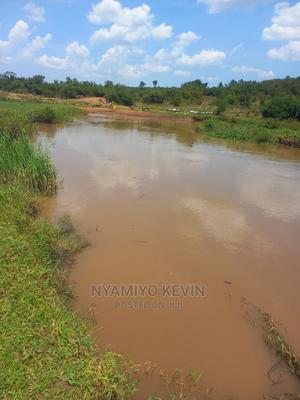 Yimbo Magombe - thumbnail 2