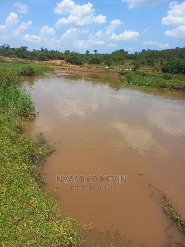 Yimbo Magombe - main view
