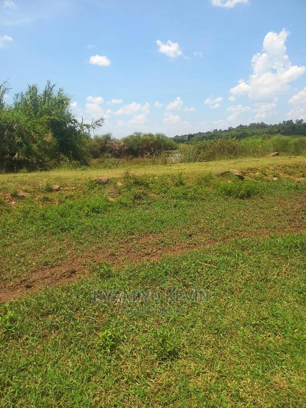 Yimbo Magombe - thumbnail 3