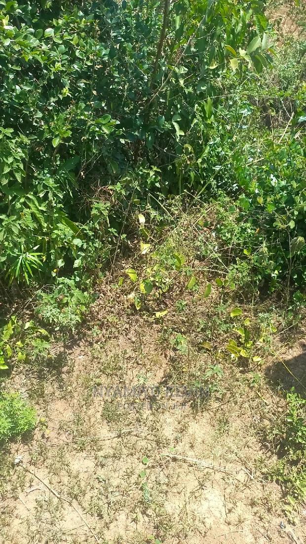 Yimbo Magombe - thumbnail 6