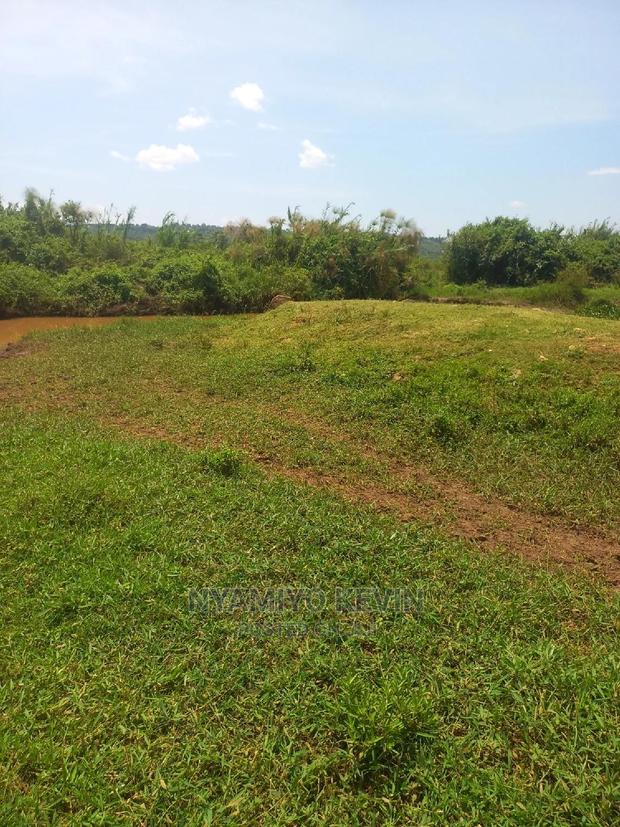 Yimbo Magombe - thumbnail 5