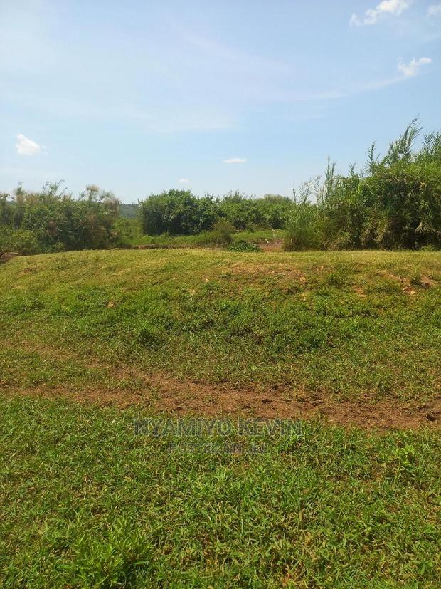 Yimbo Magombe - thumbnail 4