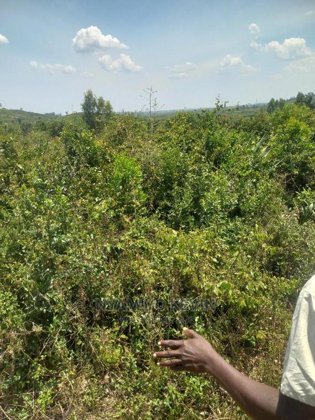 Yimbo Magombe - thumbnail 7