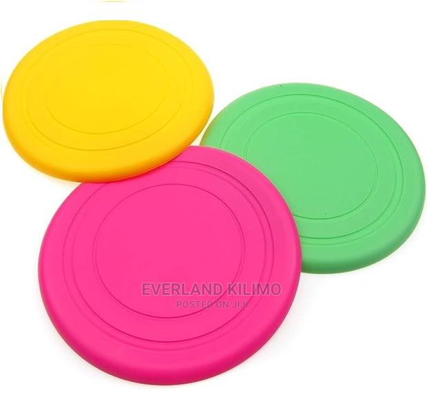 Dog Flying Disc Toy - main view