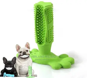 Dog Chew Toothbrush Toy