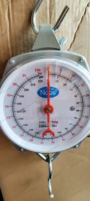 Hanging Scale Weighing Commercial Scales 100kg/150kg/200kg