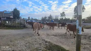 3/4 Land for Sale in Kitengela