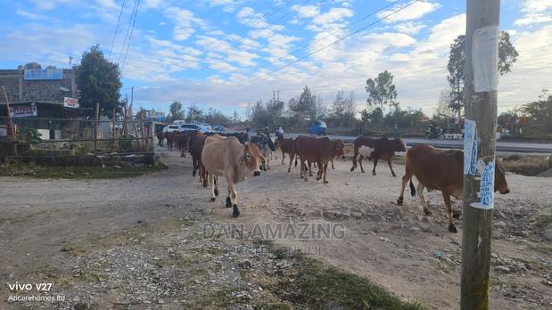 3/4 Land for Sale in Kitengela - thumbnail 3